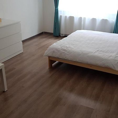 Apartman Pod Zamkem 데친 외부 사진