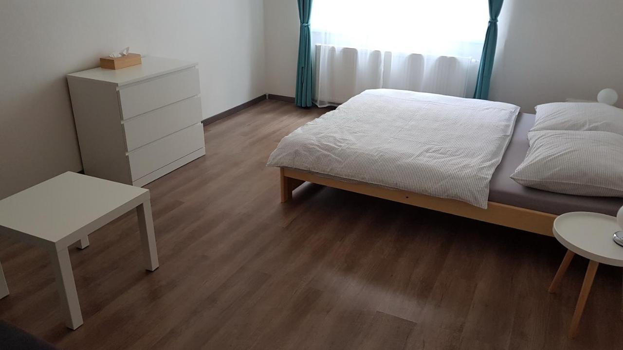 Apartman Pod Zamkem 데친 외부 사진